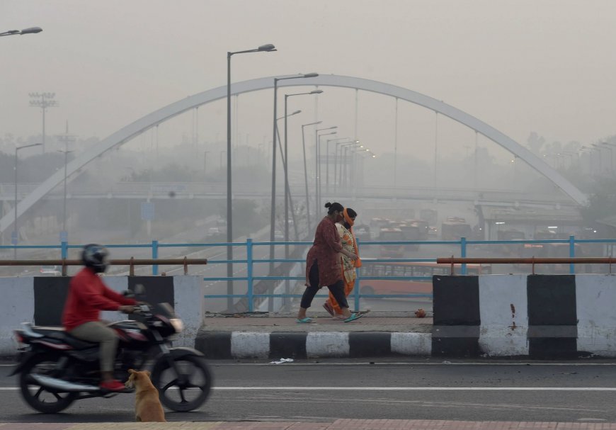 धर्मशाला, नैनीताल से भी ज्यादा सर्द रही दिल्ली, इन राज्यों में छाया घना कोहरा